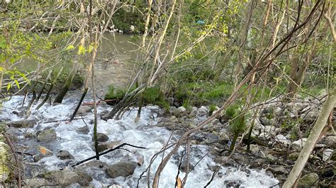 Sarahgallons Leaked Onlyfans