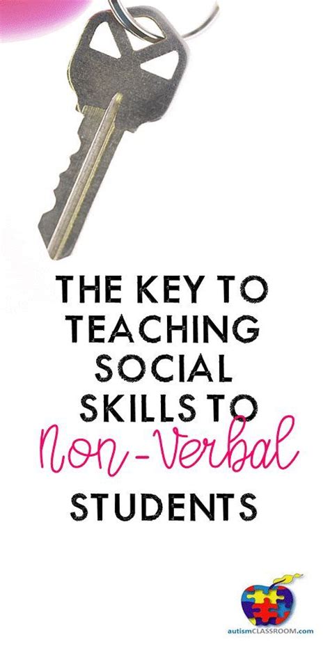 Image result for ABA Teaching Practical Examples Dyad