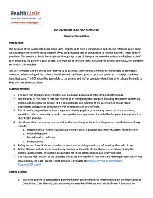 Fillable Online CO-ORDINATED CARE PLAN TEMPLATE: Fax Email Print ...