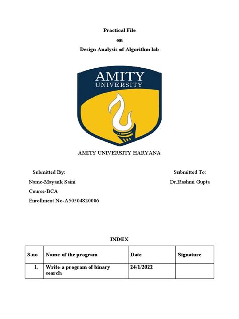 Algorithm Design and Analysis Projects 的图像结果