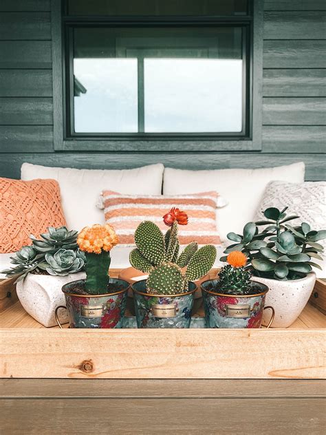 Mackenzie Childs Sale | Austin life and style | Dressed to Kill