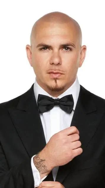 Chat with Pitbull - text or voice, Enjoy AI Chat Free & Safe