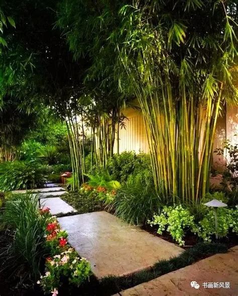 愿有一个院子，种上一片竹子_白居易