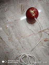 TIMA Leather Cricket Shot Practice Hanging Ball, String Cricket Ball ...