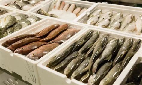Consuming Fish Contaminated with Carcinogen Formalin Can Harm Kidneys ...