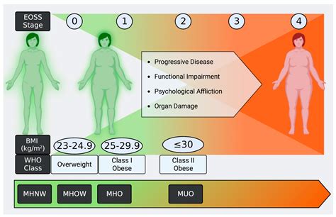 Obesity vs. Metabolically Healthy Obesity in East Asia