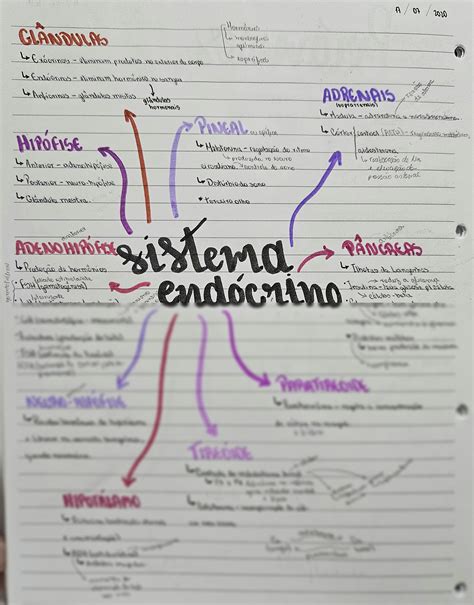 SOLUTION: Sistema end crino biologia - Studypool