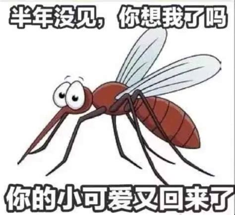 为什么蚊子总是咬我（为什么被蚊子叮的总是你？）_环球信息网