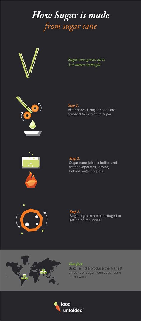 How Is Sugar Made? | FoodUnfolded
