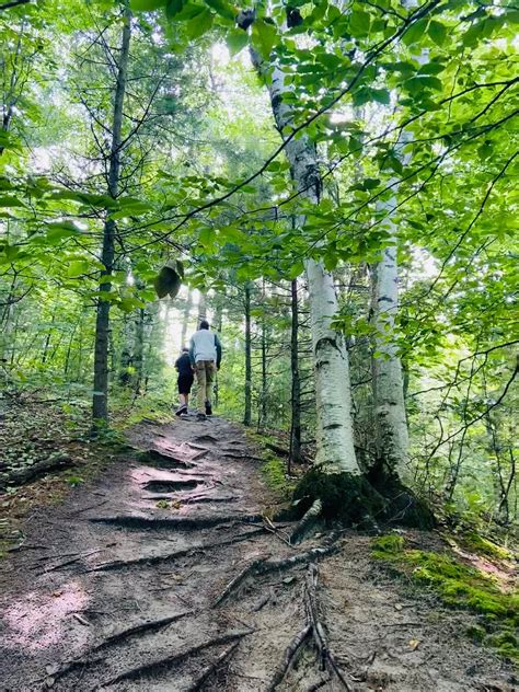 Hike the Trails at Petoskey State Park: Detailed Guide — discovering anew
