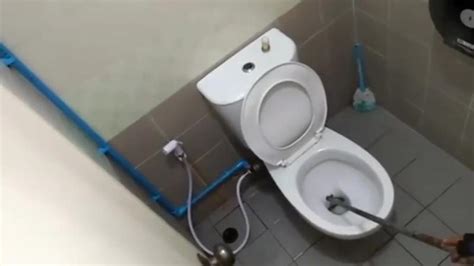 泰国男子自家厕所如厕时 蟒蛇从马桶钻出咬其下体,社会,民生,好看视频