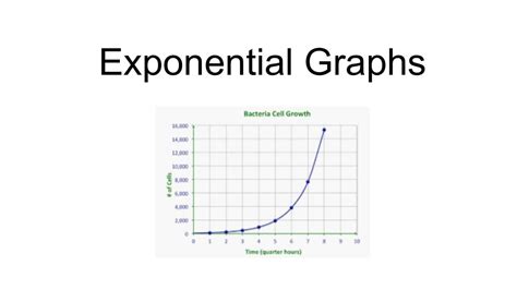 Image result for Exponential Graphs Maths