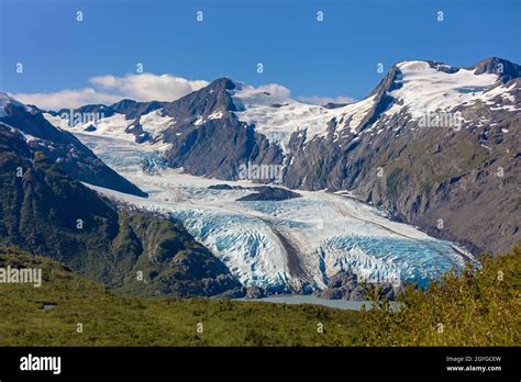 Image result for Random Library Python Image