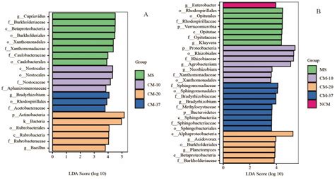 Soil Microbial Community Succession Based on PhoD and Gcd Genes along a ...