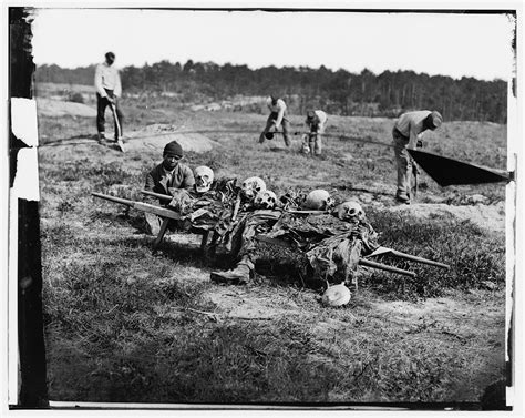 What is Cold Harbor on Severance? History may hold the answer. | National Geographic