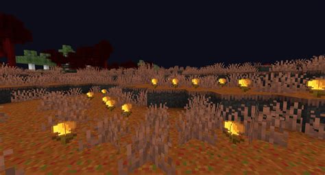 Image result for Texture Pack Minecraft 1.17.1 Java