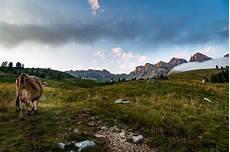 passo san pellegrino web costabella passo san pellegrino wandern s 252 dtirol bis passo san pellegrino web costabella passo san pellegrino wandern s 252 dtirol bis