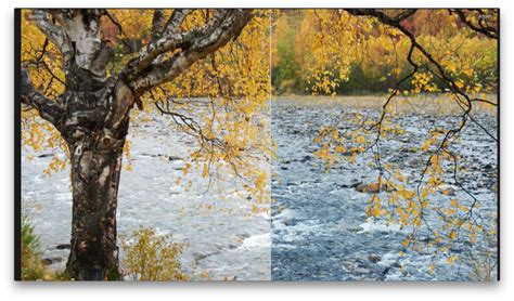 Image result for Capture One Express Tutorial