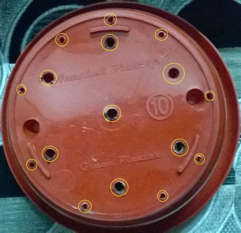 containers - Would holes in the sides of plastic pots impove drainage ...