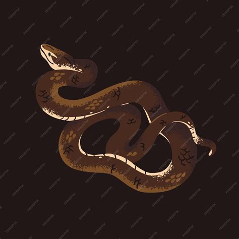 Premium Vector | Common or indian taipan in attack posture brown venomous australian snake ...