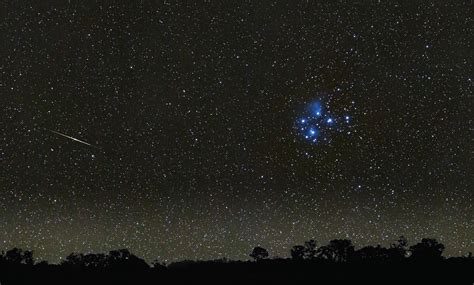 Before Bernadette: Spotlight on ... The Seven Sisters!