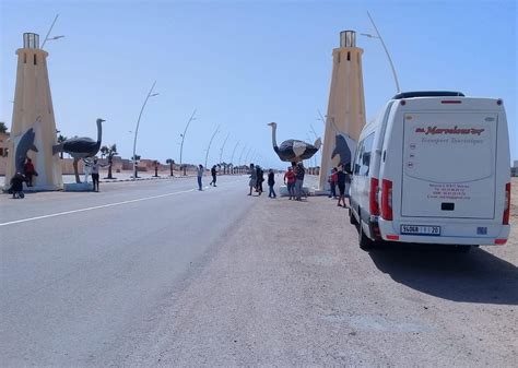 MARVELOUS TRANSPORT (2026) All You Need to Know BEFORE You Go (w ...