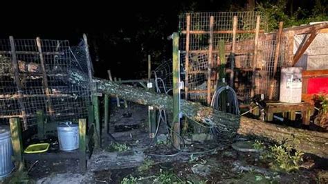 Tuesday's storms cause damage in Alachua County | FOX 35 Orlando