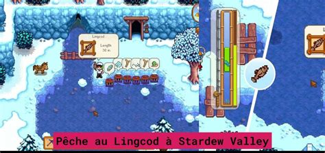 Guide de pêche du Lingcod dans Stardew Valley - 01Arcade - Jeux Vidéo ...