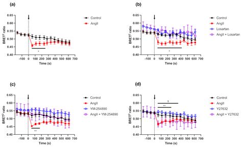 Monitoring TRPC7 Conformational Changes by BRET Following GPCR Activation
