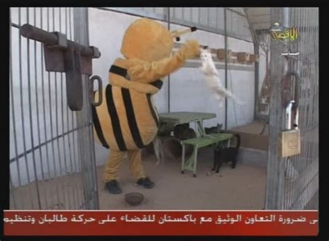 Hamas' Bee Nahoul Abuses Cats and Lions at Gaza Zoo and Calls to ...