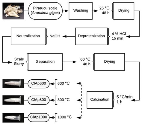 Chlorapatite Derived from Fish Scales