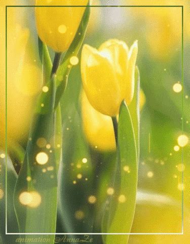 Image result for Tulips Flower Using Python