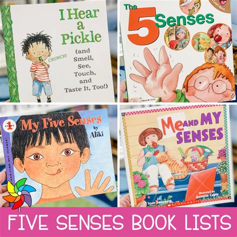 My 5 Senses