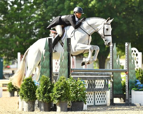 HITS Lamplight Equestrian Center - HITS Horse Shows