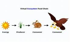 Food Chain Clipart by Free Food Chain Cliparts Free Clip Free Food Chain Clipart