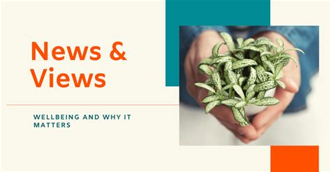 Today Views 的图像结果