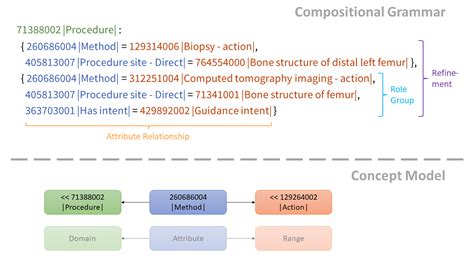 WASP—A Web Application to Support Syntactically and Semantically ...