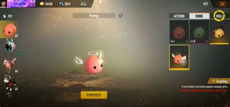 Choose The Best Free Fire Pet Combination To Get Booyah Every Match