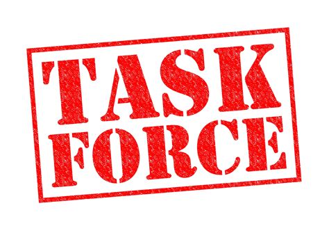Task Force Committee 的图像结果