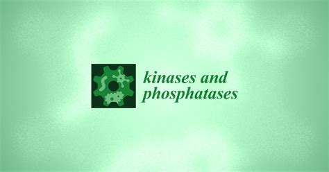 Kinases and Phosphatases | Special Issue : The PI3K Pathway in Human ...
