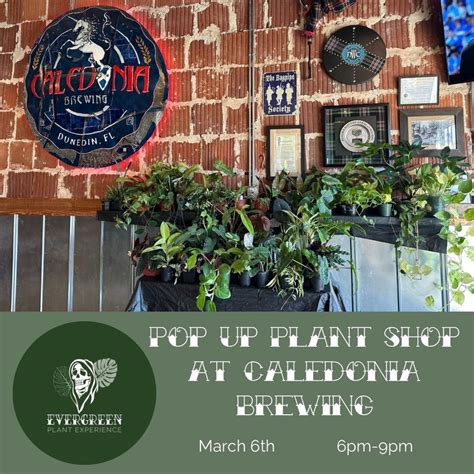 Pop Up Plant Shop at Caledonia Brewing, Caledonia Brewing, Dunedin, 6 ...
