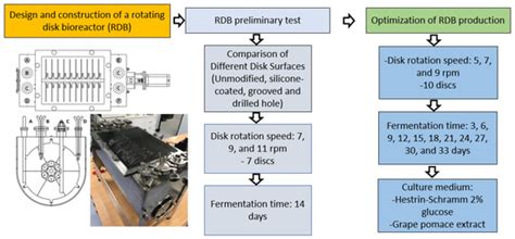 Sustainable Production of Bacterial Cellulose in a Rotary Disk ...