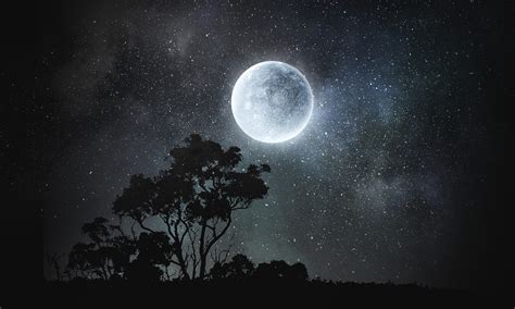 Why is the Moon so bright right now? - Australian Geographic