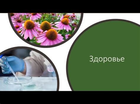 С заботой о здоровье/Технологии здоровья в Арго/Инновации ...