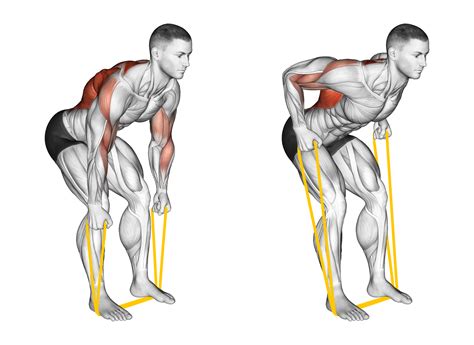 4 Best Lat Exercises with Bands (with Pictures!) - Inspire US