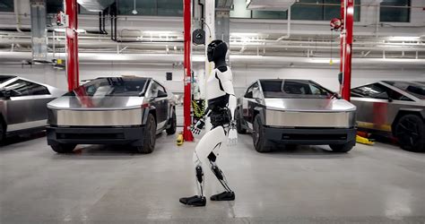 Tesla Robot 的图像结果