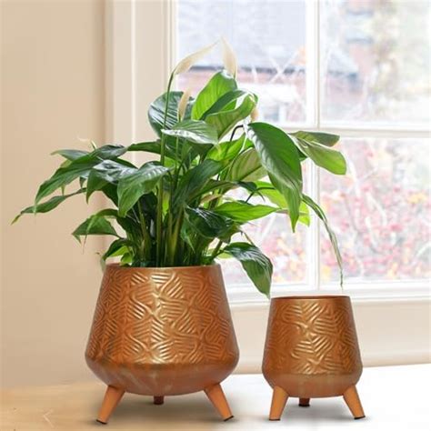 ecofynd Pack of 2 Hazel Metal Planter Pot with Stand, Modern Style ...