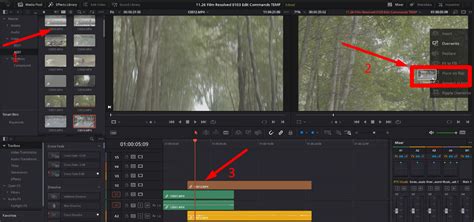 Image result for Chapter 2 Importing Clips into Resolve