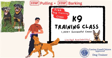 Events & Things To Do in Tampa in November 2024 | AllEvents.in