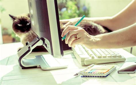 Image result for +Work Life Programs